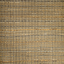 Galerie Wallcoverings Product Code: 27101 - Pepper Wallpaper Collection Galerie Wallcoverings Product Code 27101 - Pepper Wallpaper Collection - Curry Colours - Inspired by wild grasses and the foliage of wild tulips, this design was first woven on a traditional weaving frame. Due to the natural structure of the grasses the design developed a light and shadow interplay and this created a beautiful sense of depth, captured here in its printable form. All wallpapers from this collection come from sustainable production and are a 100% free of any PVC, solvents and softeners. Design