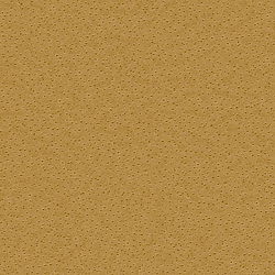 Galerie Wallcoverings Product Code: 2S1003 - 2nd Skin Wallpaper Collection Galerie Wallcoverings Product Code 2S1003 - 2nd Skin Wallpaper Collection -