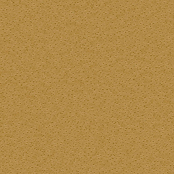 Galerie Wallcoverings Product Code 2S1003 - 2nd Skin Wallpaper Collection -   