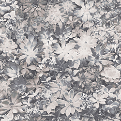 Galerie Wallcoverings Product Code: 7321 - Evergreen Wallpaper Collection Galerie Wallcoverings Product Code 7321 - Evergreen Wallpaper Collection - Grey Colours - Succulents Design