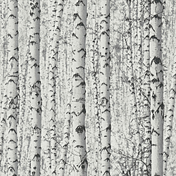 Galerie Wallcoverings Product Code BW51006 - Blooming Wild Wallpaper Collection - Grey White Colours - Birch Tree Motif Design