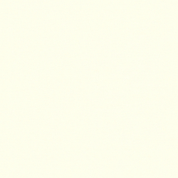 Galerie Wallcoverings Product Code: BW51032 - Blooming Wild Wallpaper Collection Galerie Wallcoverings Product Code BW51032 - Blooming Wild Wallpaper Collection - Cream Colours - Plain Texture Design