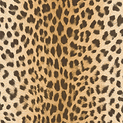 Galerie Wallcoverings Product Code: EW3803 - Urban Living Wallpaper Collection Galerie Wallcoverings Product Code EW3803 - Urban Living Wallpaper Collection -