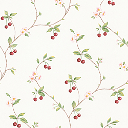 Galerie Wallcoverings Product Code: FK26957 - Fresh Kitchens 5 Wallpaper Collection Galerie Wallcoverings Product Code FK26957 - Fresh Kitchens 5 Wallpaper Collection -