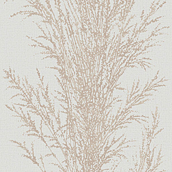 Galerie Wallcoverings Product Code: LU06066 - Lucia Wallpaper Collection Galerie Wallcoverings Product Code LU06066 - Lucia Wallpaper Collection -