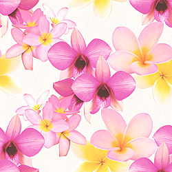 Galerie Wallcoverings Product Code: PA16831 - Paradisio Wallpaper Collection Galerie Wallcoverings Product Code PA16831 - Paradisio Wallpaper Collection -