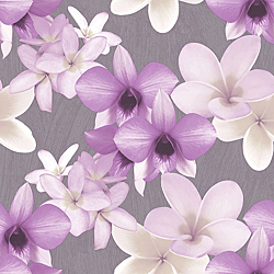 Galerie Wallcoverings Product Code: PA16833 - Paradisio Wallpaper Collection Galerie Wallcoverings Product Code PA16833 - Paradisio Wallpaper Collection -