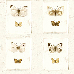 Galerie Wallcoverings Product Code: SD2002 - Splendour Wallpaper Collection Galerie Wallcoverings Product Code SD2002 - Splendour Wallpaper Collection -
